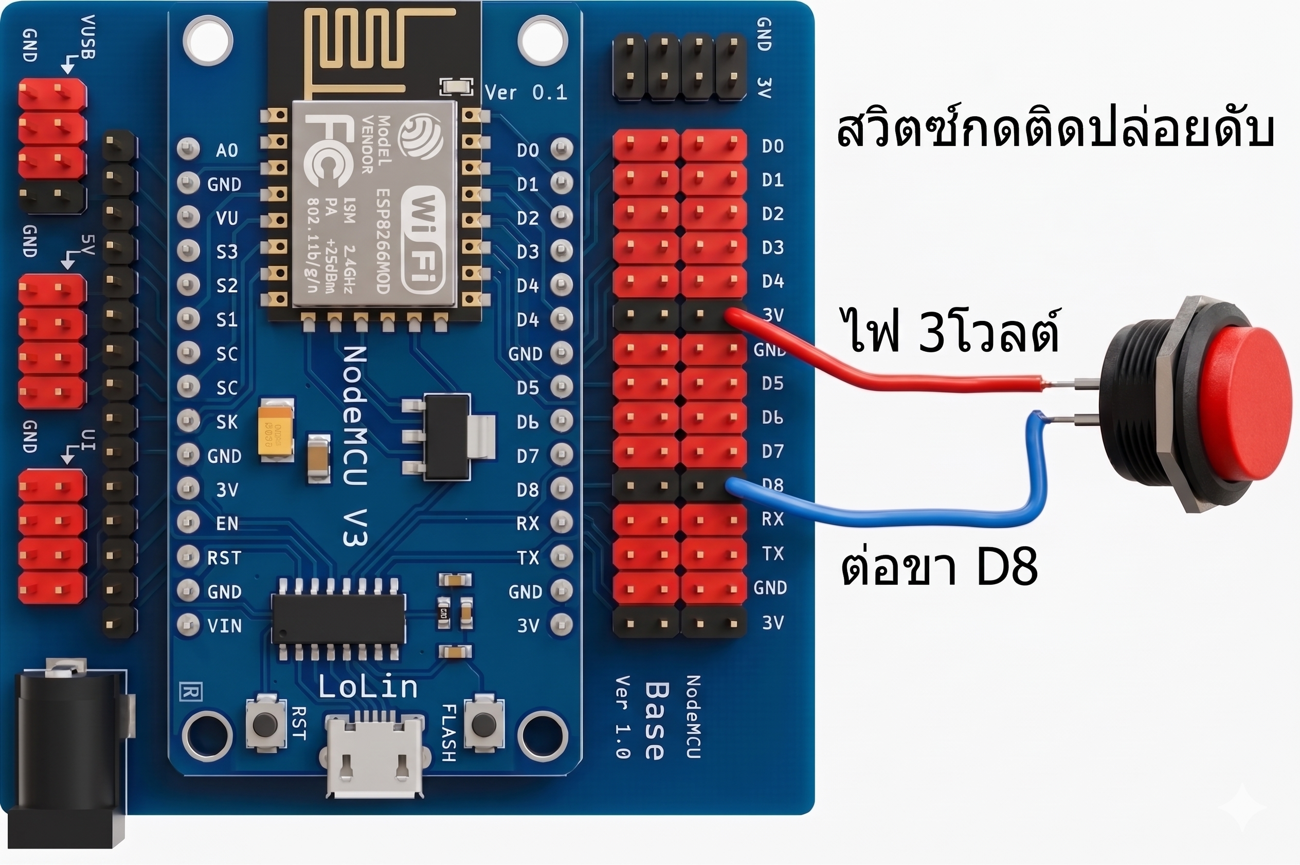 Step 5